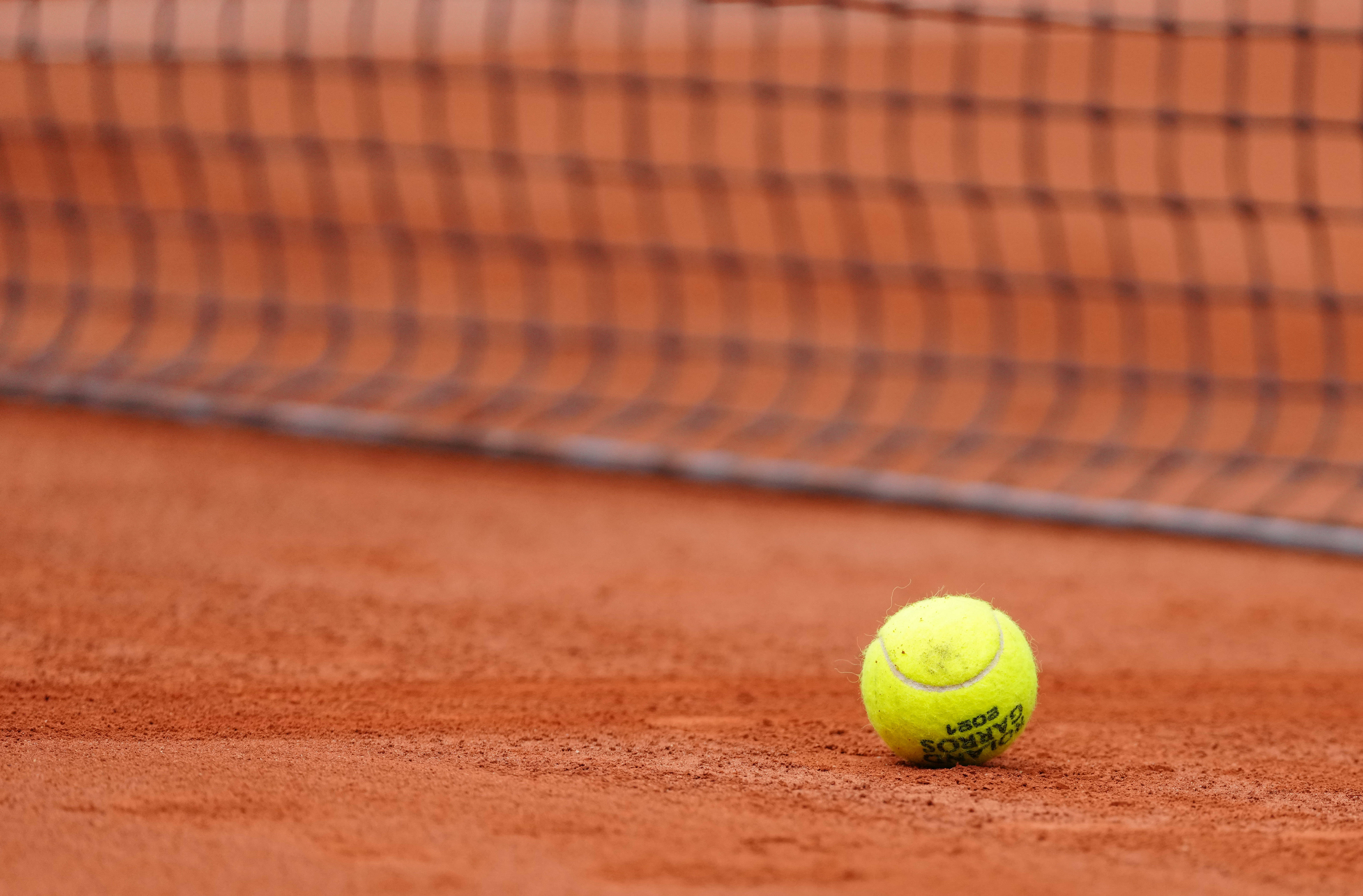 人类的运动 人类的运动